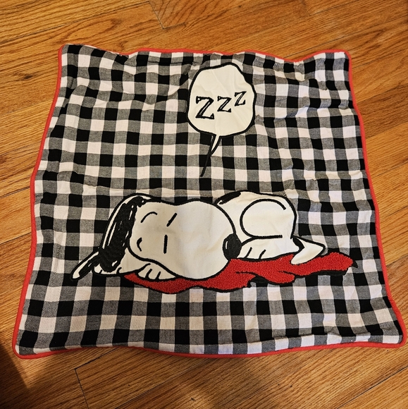 Pottery Barn Teen PEANUTS Pillow Sham Cases Pair (2) - Picture 2 of 15